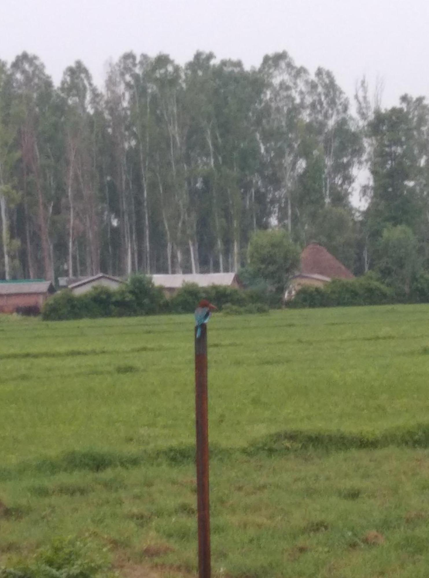 Corbett Bhavesh Home Stay Jhirna Стая снимка